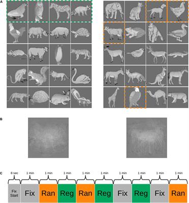 Statistical Learning Signals for Complex Visual Images in Macaque Early Visual Cortex